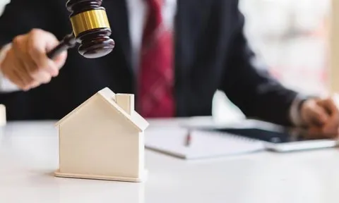 Những loại tài sản được đưa ra đấu giá