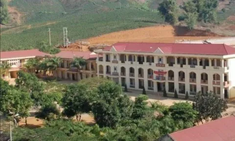 Tạm giữ khẩn cấp nhân viên bếp nghi bỏ độc vào thức ăn của học sinh ở Sơn La