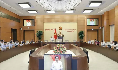 Ủy ban Thường vụ Quốc hội cho ý kiến về áp dụng thuế thu nhập doanh nghiệp bổ sung