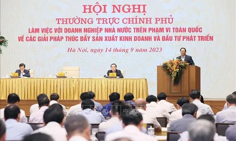 Doanh nghiệp nhà nước phát huy tối đa nguồn lực, tập trung phát triển trên tất cả các lĩnh vực