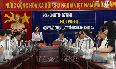 Tây Ninh: Góp ý các dự án luật trình Kỳ họp thứ 6, Quốc hội khóa XV
