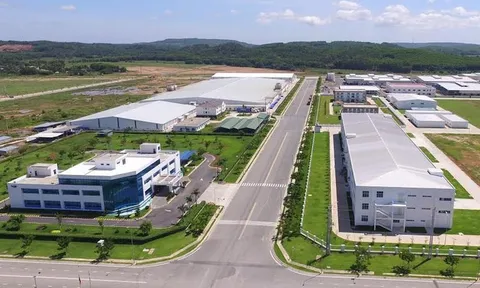 Doanh nghiệp, hộ gia đình được giảm tiền thuê đất năm 2023