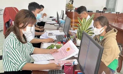 Nội dung tập sự hành nghề công chứng gồm những gì?