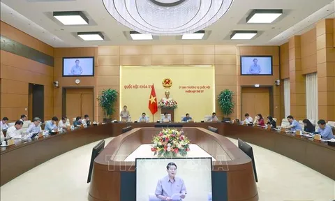 Cân nhắc phương án giải ngân vốn đầu tư phát triển