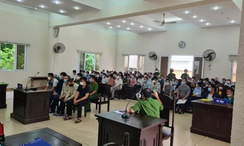 Bình Dương: Lãnh đạo công ty BĐS bị khởi tố, hàng trăm bị hại đến toà
