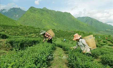 Lập Hội đồng thẩm định Báo cáo đề xuất điều chỉnh chủ trương đầu tư Chương trình mục tiêu quốc gia