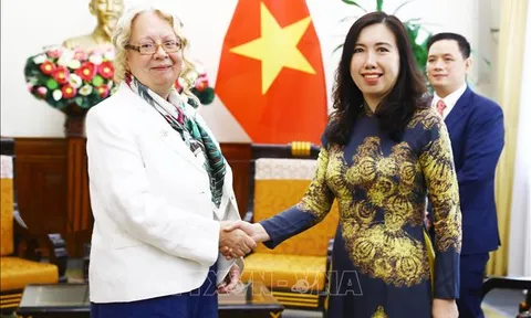 Việt Nam sẽ tiếp tục đóng góp nhiều hơn nữa vào công việc chung của Liên hợp quốc