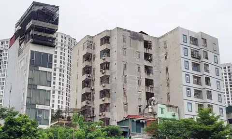 Bộ Xây dựng thanh tra toàn diện chung cư mini