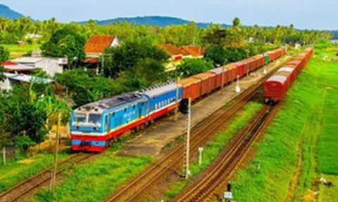 Chỉ đạo, điều hành của Chính phủ, Thủ tướng Chính phủ ngày 31/10
