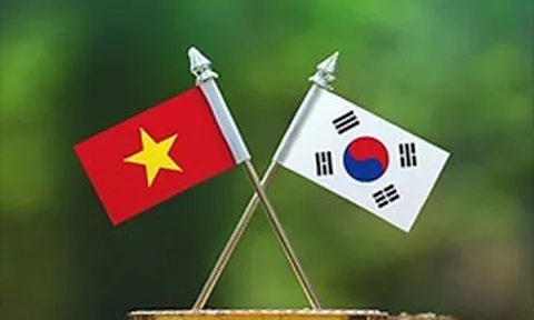Việt Nam - Hàn Quốc hợp tác toàn diện trong lĩnh vực môi trường