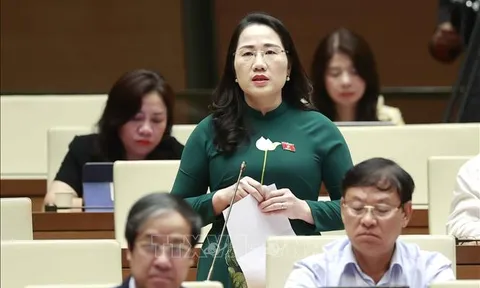 Cần thể chế hóa đúng, đủ về chính sách đất đai đối với đồng bào dân tộc thiểu số, miền núi