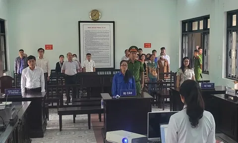 Nữ giáo viên dùng thủ đoạn gian dối lừa đảo 3,25 tỷ của đồng nghiệp