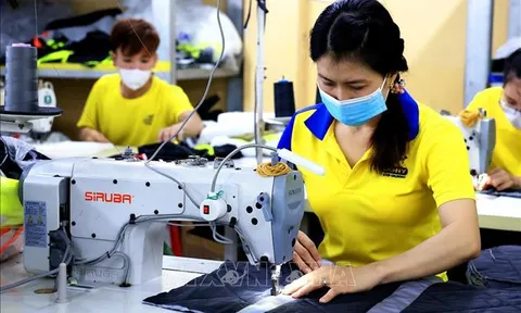 Phê duyệt Chương trình quốc gia về tăng năng suất lao động đến năm 2030