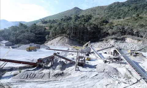 Lũng đoạn đấu giá - chưa có hồi kết nếu thiếu chế tài mạnh