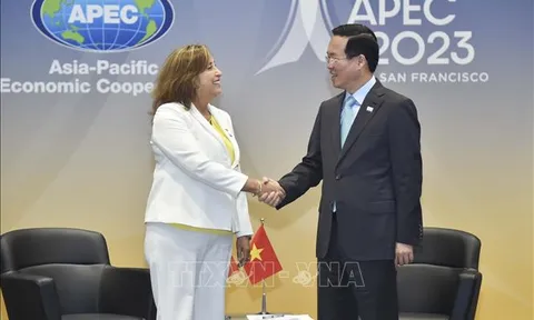 Chủ tịch nước Võ Văn Thưởng gặp Tổng thống Peru, khẳng định tăng cường hợp tác
