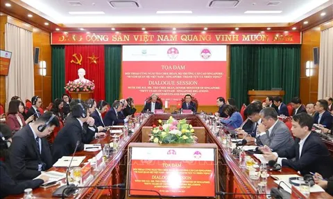 Tọa đàm đối thoại về thành tựu 50 năm quan hệ Việt Nam - Singapore