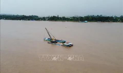 Lũng đoạn đấu giá: Làm nghiêm với 'chiến thuật tằm ăn dâu'