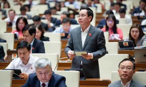 Kiến nghị bổ sung dạy thêm, học thêm vào danh mục ngành nghề kinh doanh có điều kiện