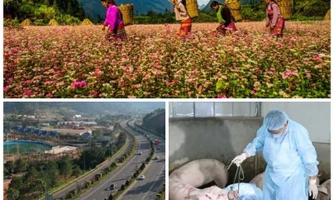 Chỉ đạo, điều hành của Chính phủ, Thủ tướng Chính phủ nổi bật tuần từ 13-17/11/2023