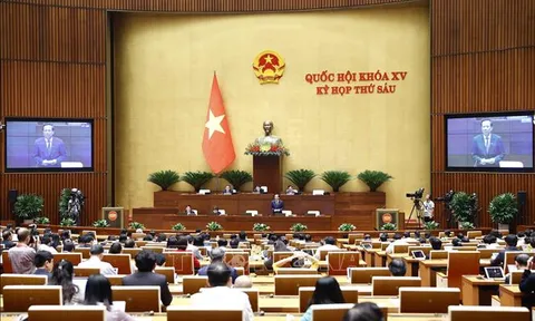 Ngày 24/11, Quốc hội biểu quyết và thảo luận một số luật quan trọng