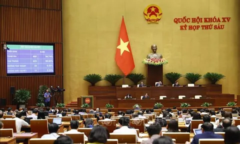 Kỳ họp thứ 6, Quốc hội khóa XV: Ngành Lưu trữ phải đẩy mạnh chuyển đổi số