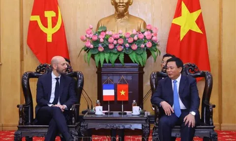 Nâng tầm hợp tác đào tạo cán bộ, nghiên cứu khoa học hành chính công Việt Nam - Pháp
