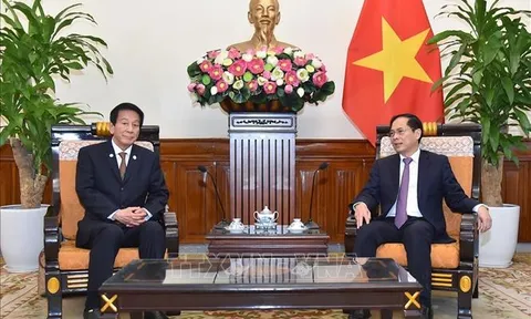 Bộ trưởng Ngoại giao Bùi Thanh Sơn tiếp nguyên Đại sứ đặc biệt Nhật Bản - Việt Nam