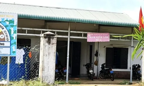Đắk Lắk: Cán bộ kiểm lâm tử vong trong rừng, trên người có vết đạn