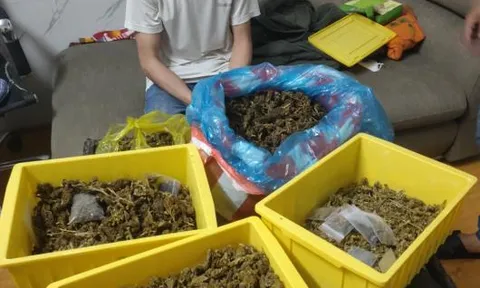 Bắt quả tang đối tượng mua cần sa trên mạng về bán kiếm lời