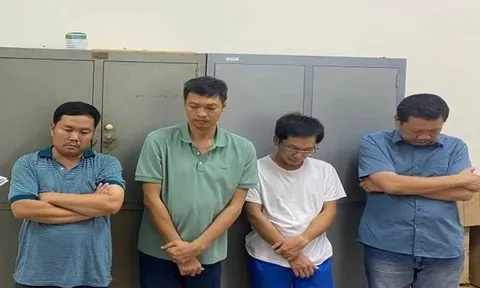 Đồng Nai: Khởi tố giám đốc công ty tổ chức khai thác đất trái phép
