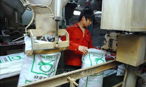 Phê duyệt Đề án Phát triển công nghiệp chế biến thức ăn chăn nuôi