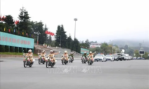 Tấn công, trấn áp tội phạm, bảo đảm an ninh, trật tự dịp trước Tết Giáp Thìn