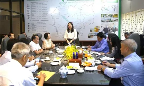 Nhiệm vụ, cơ cấu tổ chức của Ủy ban Nhà nước về người Việt Nam ở nước ngoài