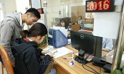 Phê duyệt Chiến lược phát triển ngành Bảo hiểm xã hội Việt Nam