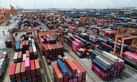 Nhiều vấn đề gây vướng mắc trong sản xuất, kinh doanh của doanh nghiệp