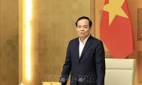 Quy chế hoạt động của Ban Chỉ đạo thực hiện sắp xếp đơn vị hành chính cấp huyện, cấp xã