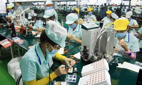 Quy định kiểm tra chất lượng sản phẩm, hàng hóa trong sản xuất