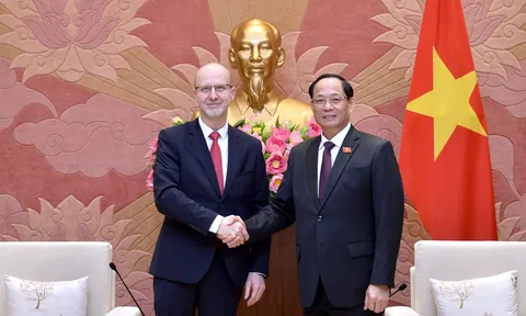 Thúc đẩy quan hệ hữu nghị truyền thống Việt Nam - Séc