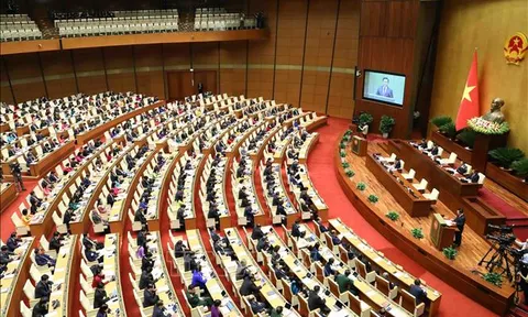 Tăng cường xây dựng pháp luật, hoàn thiện các dự án Luật trình Quốc hội