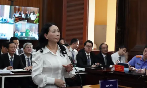 Trương Mỹ Lan sử dụng tiền chiếm đoạt được vào mục đích gì?