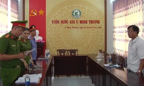 Bắt tạm giam nguyên Giám đốc Vườn Quốc gia U Minh Thượng