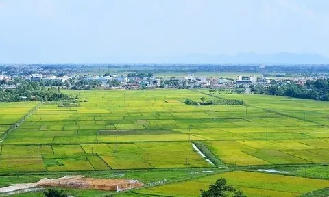 Các trường hợp thực hiện góp quyền sử dụng đất, điều chỉnh lại đất đai