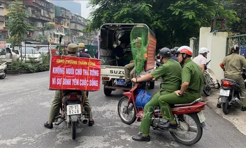 Tổ chức triển khai quyết liệt, có hiệu quả công tác phòng, chống bệnh dại