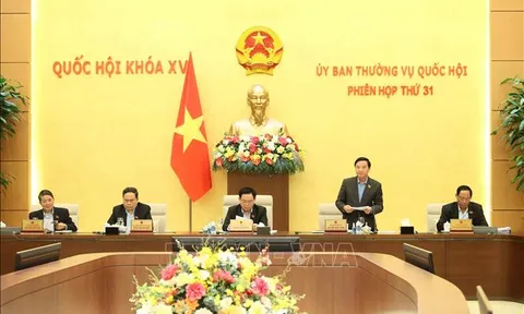 Cho ý kiến về nhiều chính sách, quy định mới về tổ chức, hoạt động của Tòa án