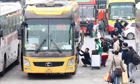 Tăng cường phối hợp để chống thất thu thuế trong hoạt động vận tải