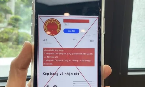 Cài đặt phần mềm Dịch vụ công 'giả mạo', một nạn nhân bị lừa hơn 800 triệu đồng