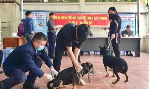 Chỉ đạo, điều hành của Chính phủ, Thủ tướng Chính phủ nổi bật tuần từ 11-15/3/2024
