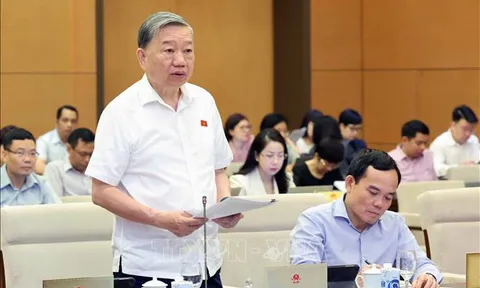 Cho ý kiến về dự án Luật Phòng, chống mua bán người (sửa đổi)
