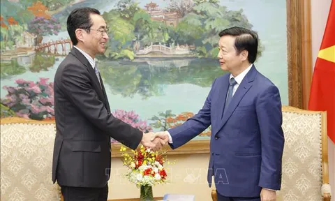 Việt Nam - Nhật Bản thúc đẩy cơ chế tài chính trong các dự án chuyển đổi năng lượng xanh