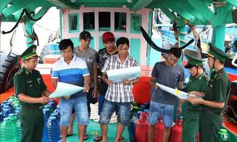 Bổ sung quy định về cơ sở đào tạo, bồi dưỡng thuyền viên tàu cá